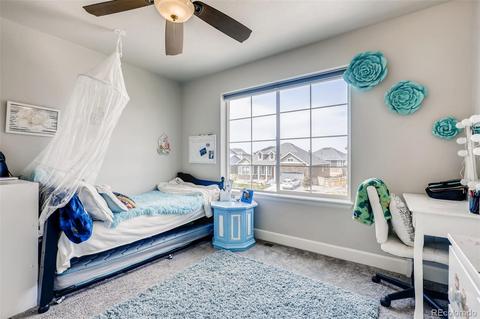 546 Fall River Ct, Brighton, CO 80601 photo 20