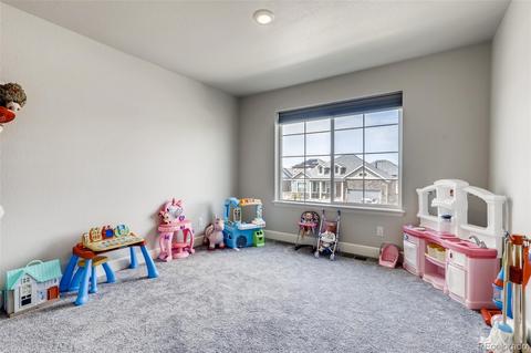546 Fall River Ct, Brighton, CO 80601 photo 18