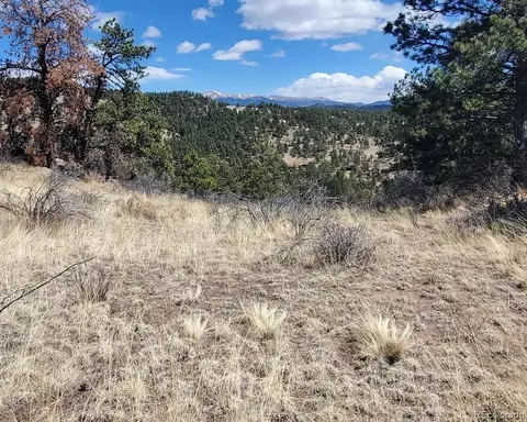 370 Ponderosa Dr, Florissant, CO 80816