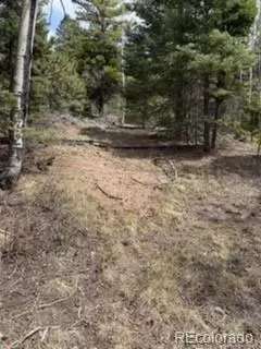 lot2711 Sleger Rd, Fort Garland, CO 81133