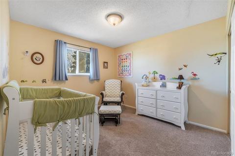 8253 Ladean St, Denver, CO 80229 photo 19