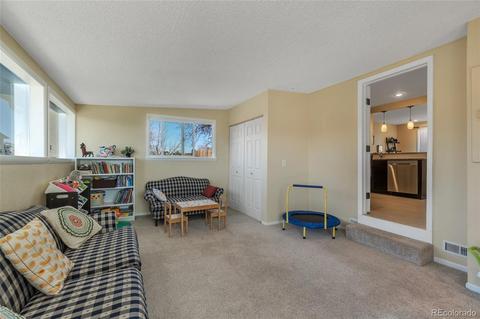 8253 Ladean St, Denver, CO 80229 photo 15
