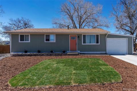 8253 Ladean St, Denver, CO 80229 photo 3