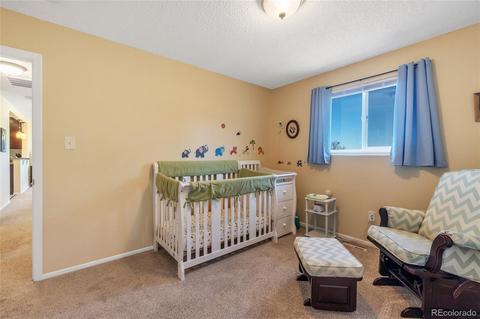 8253 Ladean St, Denver, CO 80229 photo 20