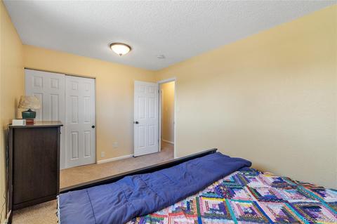 8253 Ladean St, Denver, CO 80229 photo 22