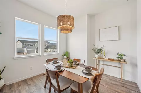 1094 Rambling Oak Dr, Monument, CO 80132 photo 11