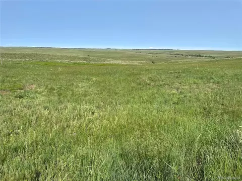 D County Road 166, Agate, CO 80105 photo 5