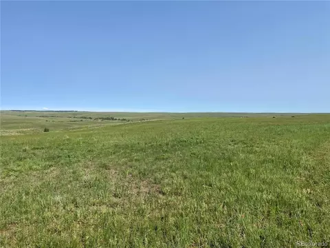 D County Road 166, Agate, CO 80105 photo 6