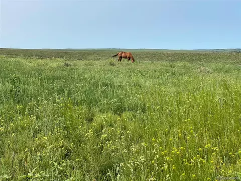 D County Road 166, Agate, CO 80105 photo 3