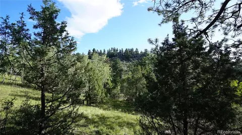 Bob Cat Trail, Bailey, CO 80421 photo 4