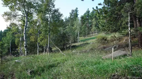 Bob Cat Trail, Bailey, CO 80421 photo 7