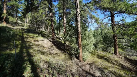 Bob Cat Trail, Bailey, CO 80421 photo 5