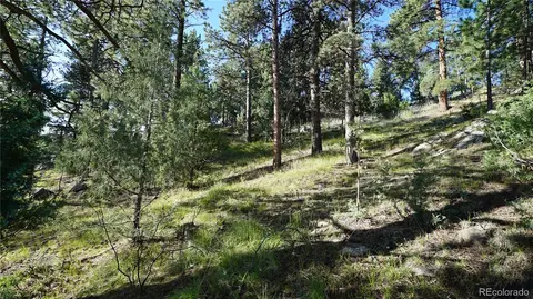 Bob Cat Trail, Bailey, CO 80421 photo 3