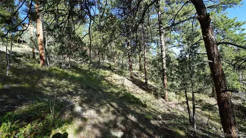 Bob Cat Trail, Bailey, CO 80421 photo 6