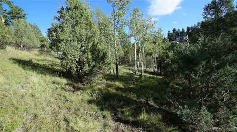 Bob Cat Trail, Bailey, CO 80421 photo 2