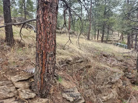 000 Forest Hill Rd, Evergreen, CO 80439