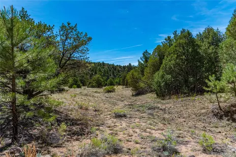tbd L Arnold Dr, Cotopaxi, CO 81223 photo 31