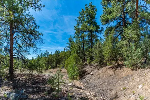 tbd L Arnold Dr, Cotopaxi, CO 81223 photo 30