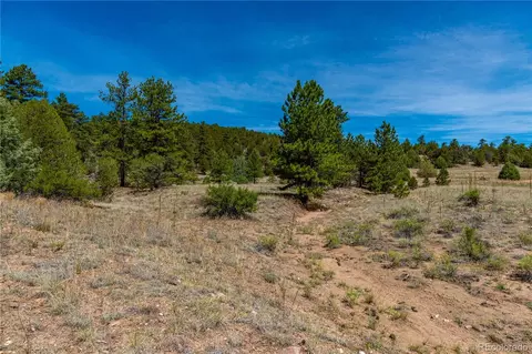 tbd L Arnold Dr, Cotopaxi, CO 81223 photo 12