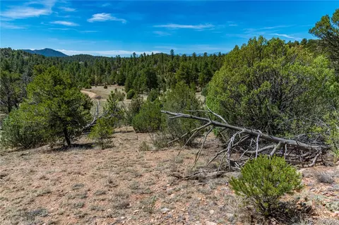 tbd L Arnold Dr, Cotopaxi, CO 81223 photo 13