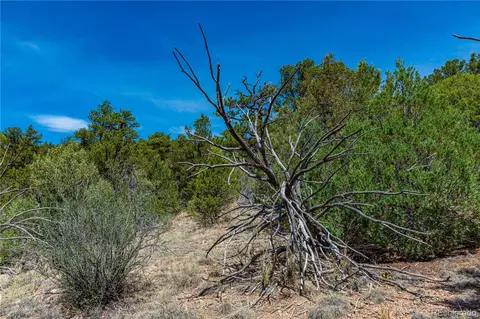 tbd L Arnold Dr, Cotopaxi, CO 81223 photo 11
