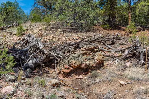 tbd L Arnold Dr, Cotopaxi, CO 81223 photo 19
