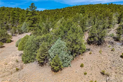 tbd L Arnold Dr, Cotopaxi, CO 81223 photo 24