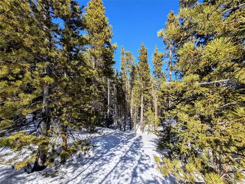 lot234 Alice Rd, Idaho Springs, CO 80453