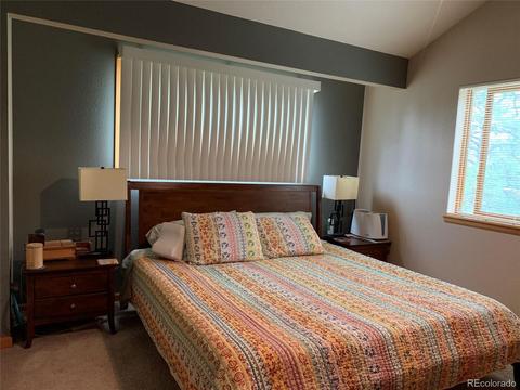 369 Doe Cir, Bailey, CO 80421 photo 16