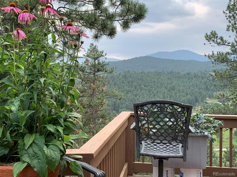 369 Doe Cir, Bailey, CO 80421 photo 11