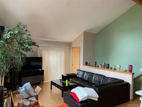 369 Doe Cir, Bailey, CO 80421 photo 4