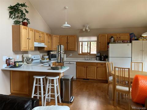 369 Doe Cir, Bailey, CO 80421 photo 8