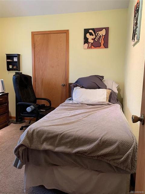 369 Doe Cir, Bailey, CO 80421 photo 14