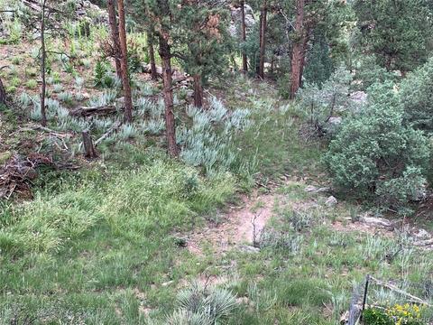 369 Doe Cir, Bailey, CO 80421 photo 36
