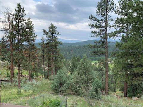 369 Doe Cir, Bailey, CO 80421 photo 26