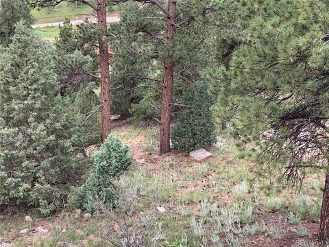369 Doe Cir, Bailey, CO 80421 photo 35