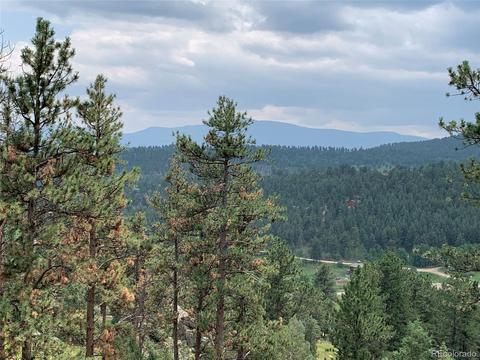 369 Doe Cir, Bailey, CO 80421 photo 10