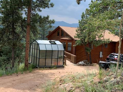 369 Doe Cir, Bailey, CO 80421 photo 2