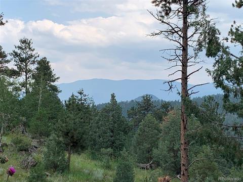 369 Doe Cir, Bailey, CO 80421 photo 34