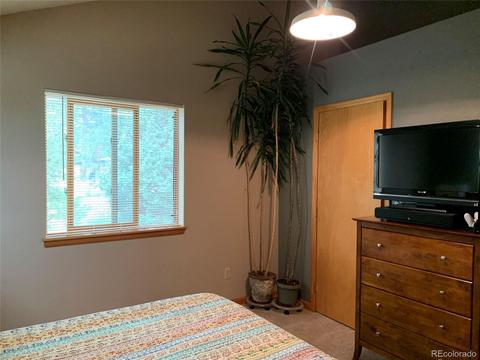 369 Doe Cir, Bailey, CO 80421 photo 17