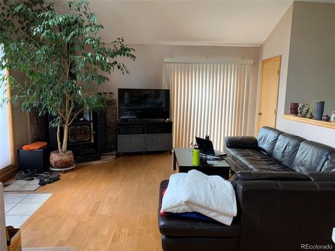 369 Doe Cir, Bailey, CO 80421 photo 3