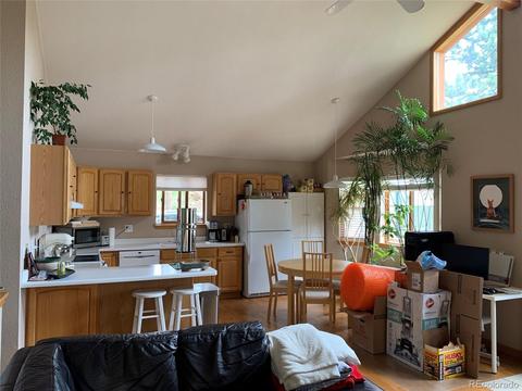 369 Doe Cir, Bailey, CO 80421 photo 9