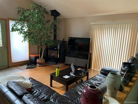 369 Doe Cir, Bailey, CO 80421 photo 6