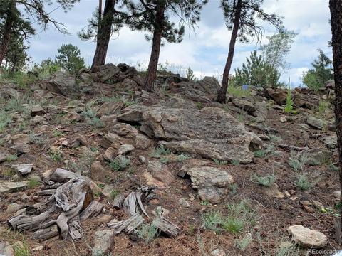 369 Doe Cir, Bailey, CO 80421 photo 33