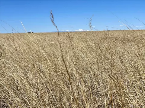 County Road 3, Rush, CO 80833 photo 3