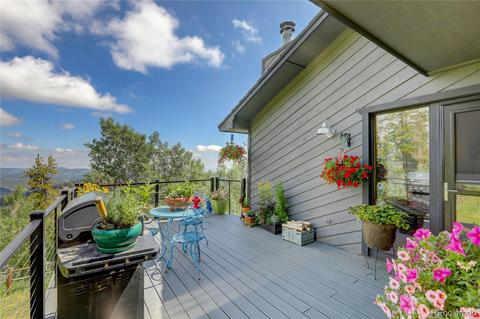 10117 Horizon View Dr, Morrison, CO 80465 photo 13