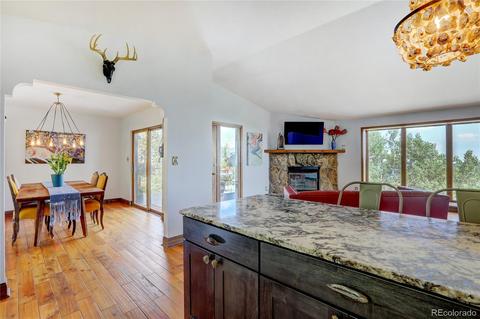 10117 Horizon View Dr, Morrison, CO 80465 photo 9