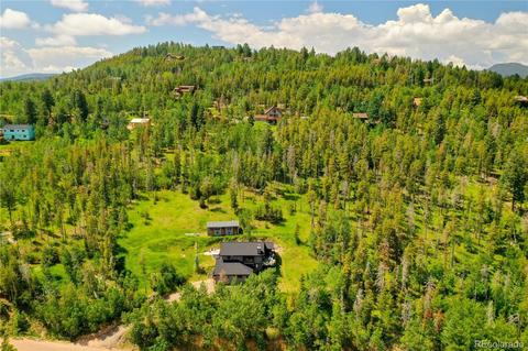 10117 Horizon View Dr, Morrison, CO 80465 photo 39