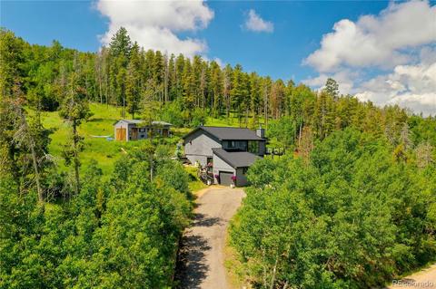 10117 Horizon View Dr, Morrison, CO 80465 photo 34