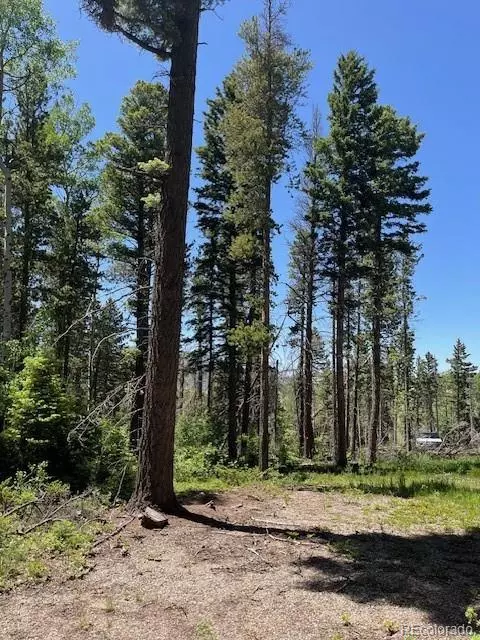 lot2449 Petito Dr, Fort Garland, CO 81133